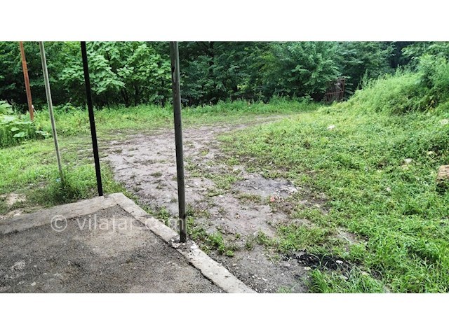 عکس شماره 310897 - اجاره ویلا در جنگل اسالم - 