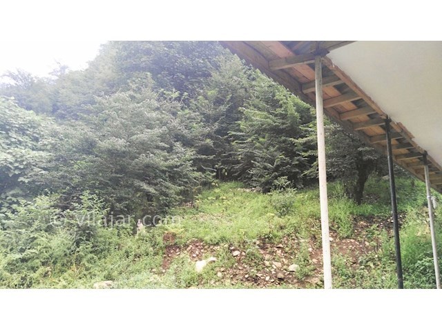 عکس شماره 310899 - اجاره ویلا در جنگل اسالم - 