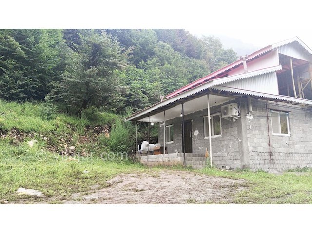 عکس شماره 310901 - اجاره ویلا در جنگل اسالم - 