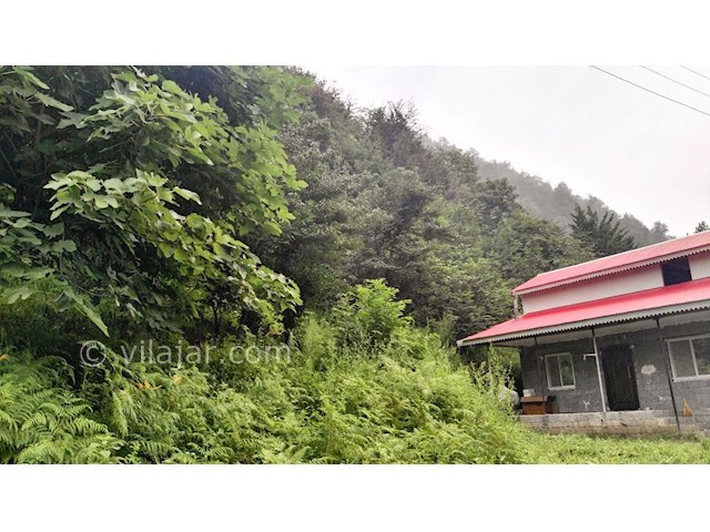 عکس شماره 310903 - اجاره ویلا در جنگل اسالم - 