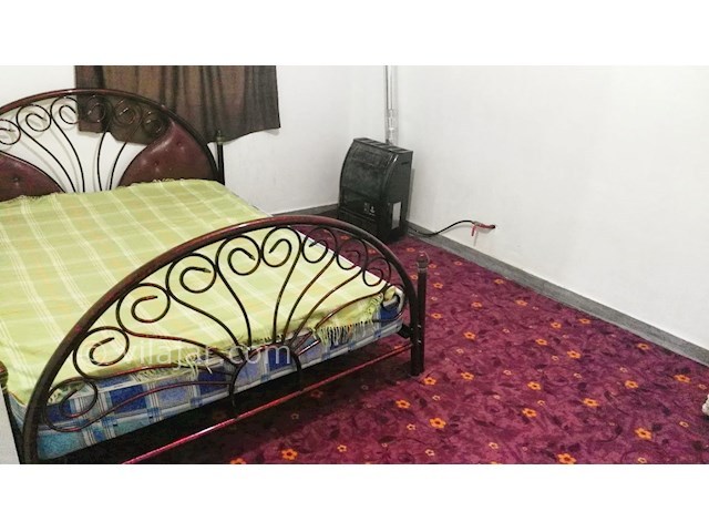 عکس شماره 310917 - اجاره ویلا در جنگل اسالم - 