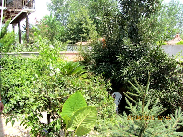 عکس شماره 31177 - اجاره ویلا در زیباکنار - 