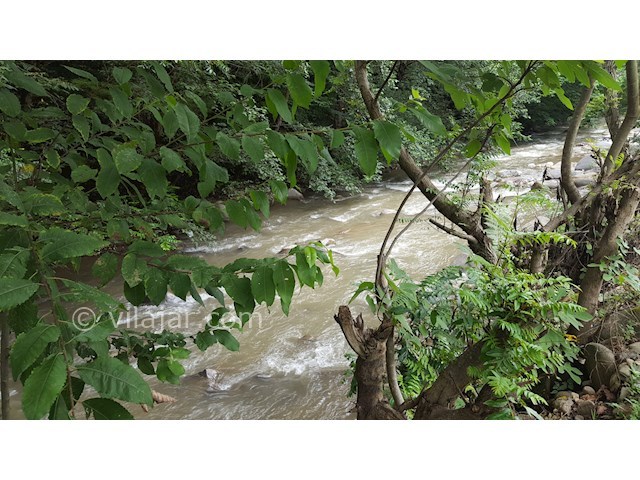 عکس شماره 311963 - خانه ویلایی جنگلی لب رودخانه - 