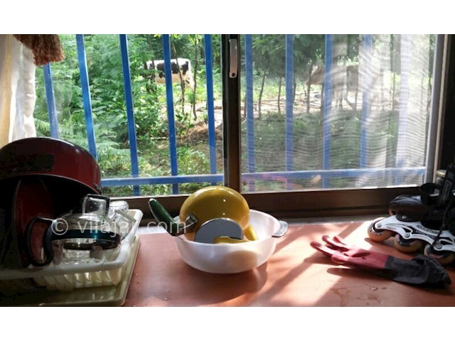 عکس شماره 313077 - رزرو ویلا جنگلی در شیرگاه - 