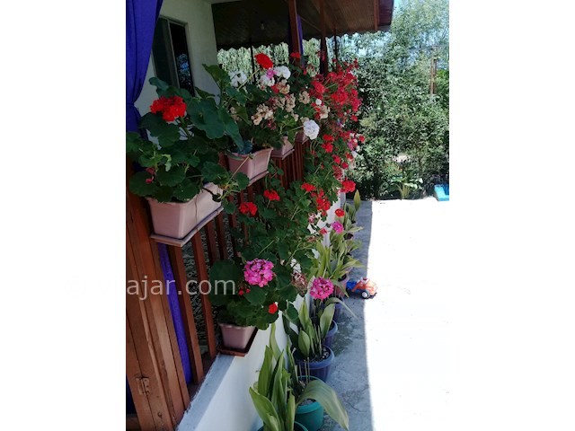 عکس شماره 315037 - اجاره خانه ی روستایی ماسال - 