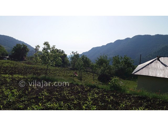 عکس شماره 315967 - اجاره ویلای ییلاقی در تالش - 