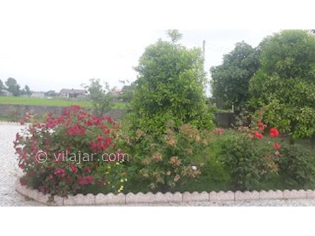 عکس شماره 316057 - اجاره ویلای ساحلی در تالش - 