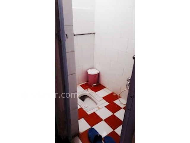 عکس شماره 316093 - اجاره ویلای ساحلی در تالش - 