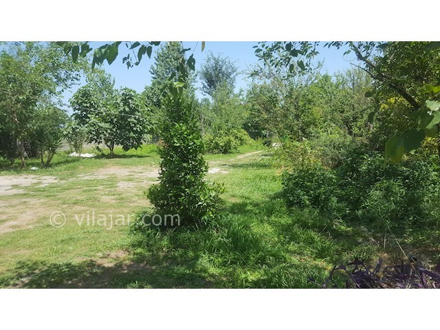 عکس شماره 317263 - اجاره ویلا باغ در ماسال - 