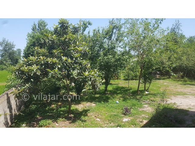 عکس شماره 317265 - اجاره ویلا باغ در ماسال - 