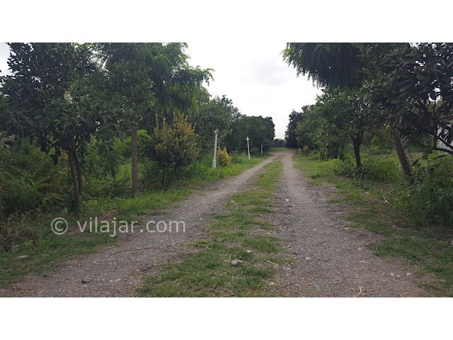 عکس شماره 317655 - اجاره ویلا در تالش لب دریا - 