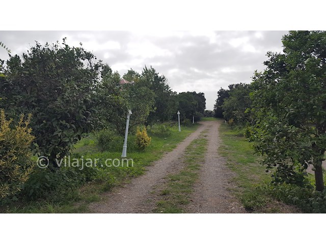 عکس شماره 317663 - اجاره ویلا در تالش لب دریا - 