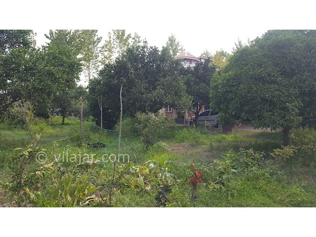 عکس شماره 317665 - اجاره ویلا در تالش لب دریا - 