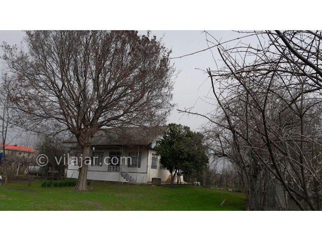 عکس شماره 317903 - ویلای جنگلی در تالش کرایه ای - 