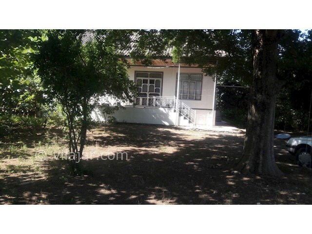 عکس شماره 317905 - ویلای جنگلی در تالش کرایه ای - 