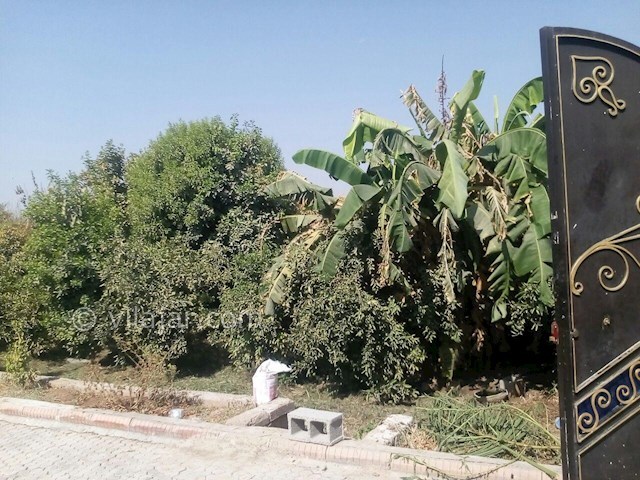 عکس شماره 318395 - ویلا باغ استخردار در دزفول - 