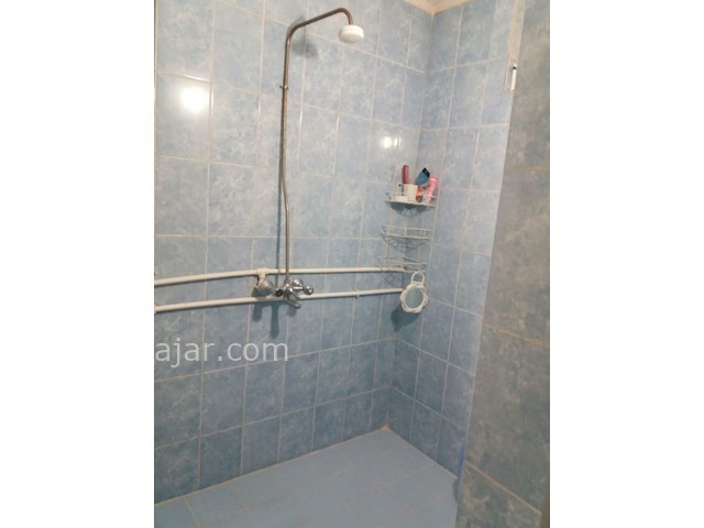 عکس شماره 319639 - اجاره ویلا در ماسال - 