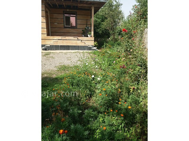 عکس شماره 319643 - اجاره ویلا در ماسال - 