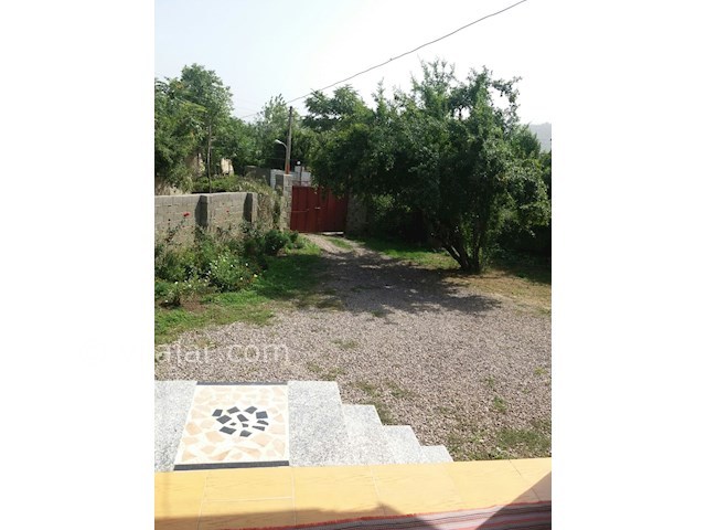 عکس شماره 319645 - اجاره ویلا در ماسال - 