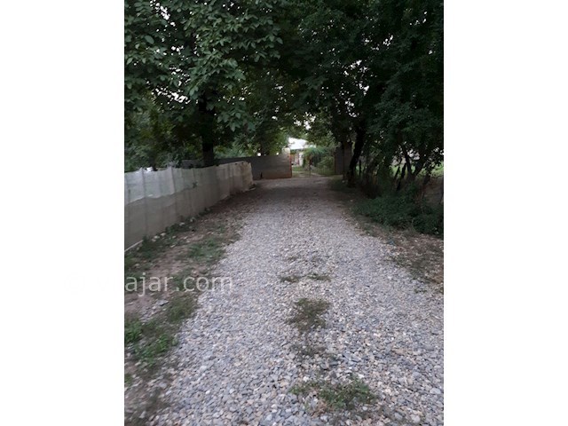 عکس شماره 319711 - اجاره ویلا در ماسال وشمه سرا - 