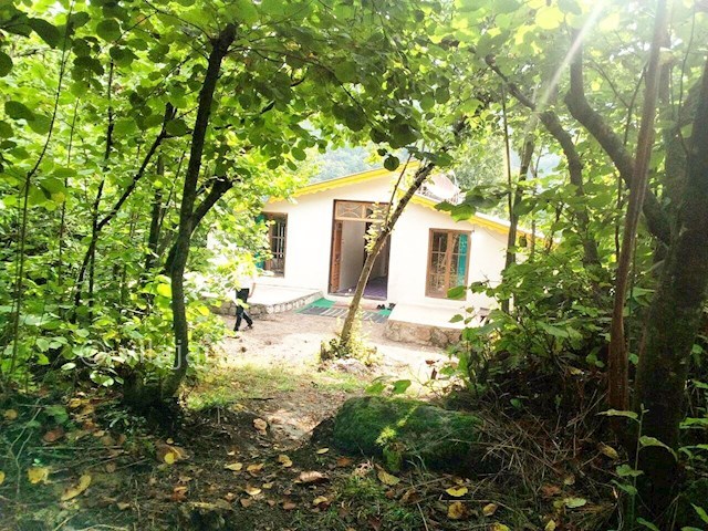 عکس شماره 320401 - اجاره خانه روستایی در ییلاق مریان - 