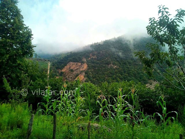 عکس شماره 320437 - اجاره خانه روستایی در ییلاق مریان - 