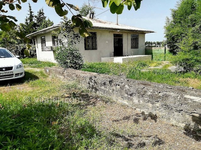 عکس شماره 320713 - ویلا باغ اجاره ای در تالش - 