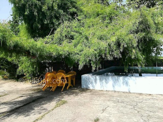 عکس شماره 320733 - ویلا باغ اجاره ای در تالش - 