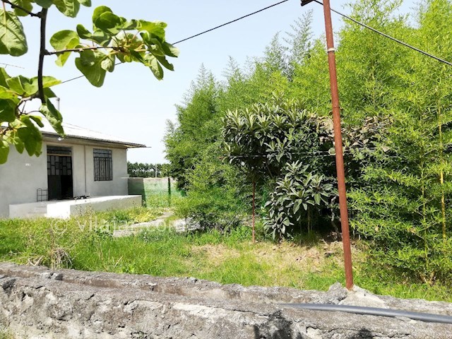 عکس شماره 320741 - ویلا باغ اجاره ای در تالش - 