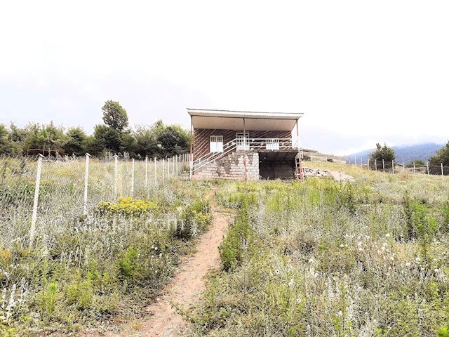 عکس شماره 320905 - اجاره خانه روستایی ییلاق مریان - 