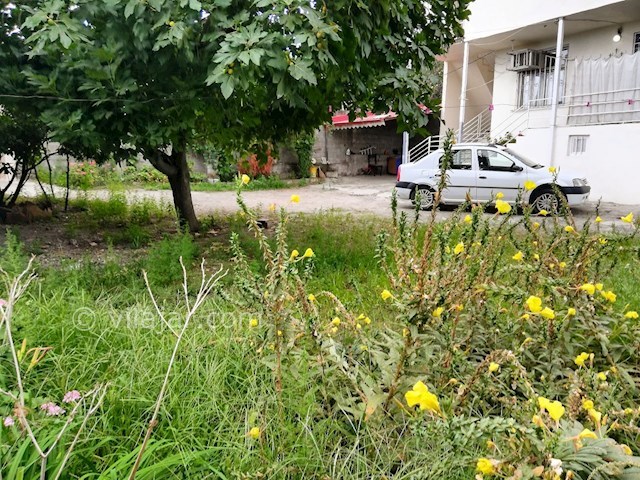 عکس شماره 321007 - اجاره واحد نزدیک جنگل -