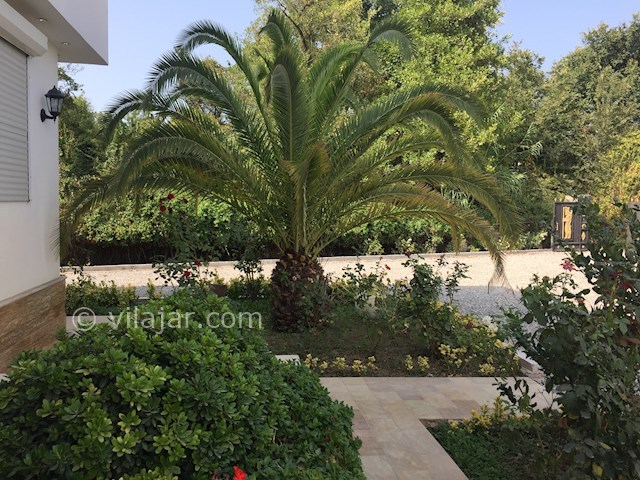 عکس شماره 322291 - اجاره ویلا استخردار در نور - 