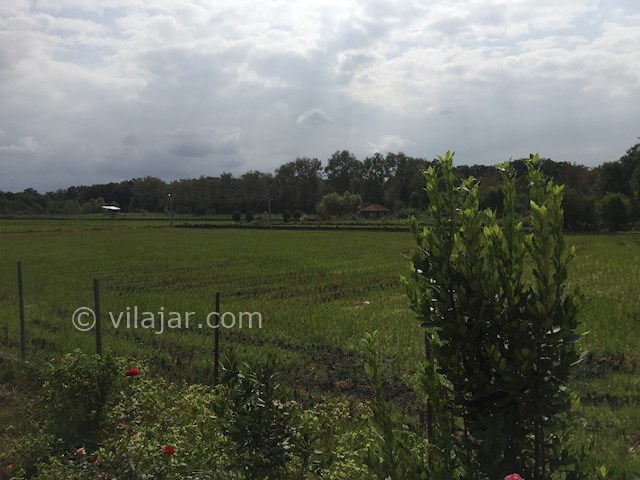 عکس شماره 322297 - اجاره ویلا استخردار در نور - 