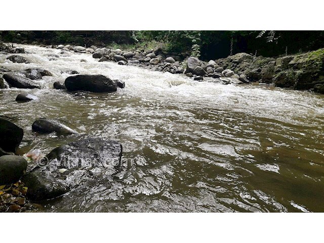 عکس شماره 323007 - اجاره واحد بر رودخانه اسالم - 