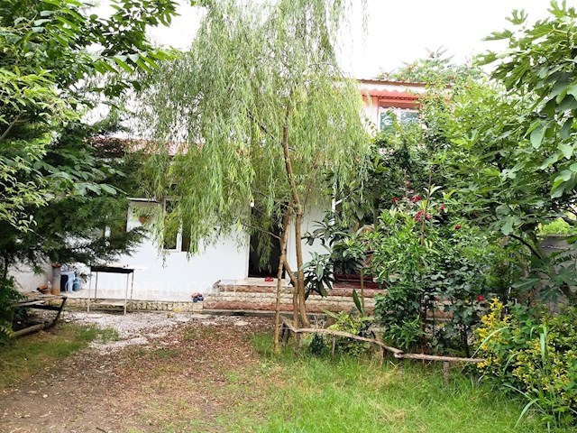 عکس شماره 323427 - رزرو ویلا نزدیک ساحل قروق - 