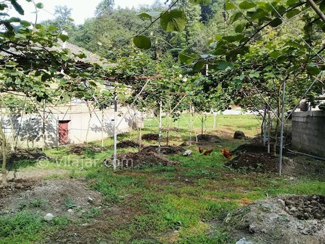 عکس شماره 327959 - رزرو خانه روستایی در تالش -