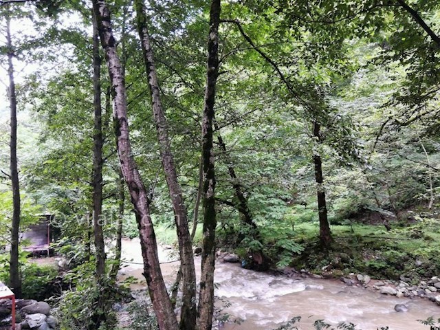 عکس شماره 328161 - سوییت نقلی بر رودخانه اسالم - 