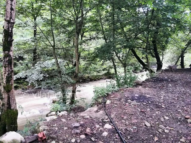 عکس شماره 328163 - سوییت نقلی بر رودخانه اسالم - 