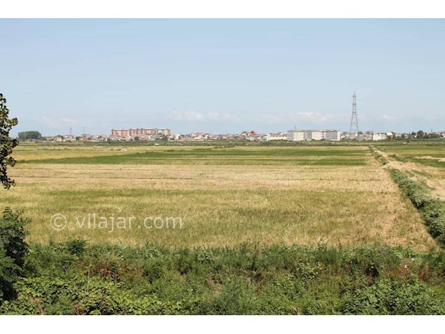 عکس شماره 329011 - اجاره ویلا در آستارا - 