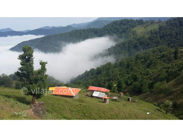 عکس شماره 329989 - کلبه چوبی در ییلاق اولسبلنگاه - 