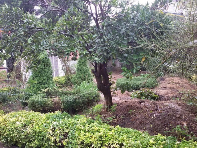 عکس شماره 332437 - اجاره ویلای استخردار رامسر - 