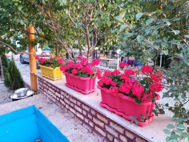 عکس شماره 335875 - اقامتگاه بوم گردی کدخدا - 