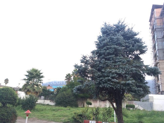 عکس شماره 336219 - اجاره ویلا روبروی نمک آبرود - 