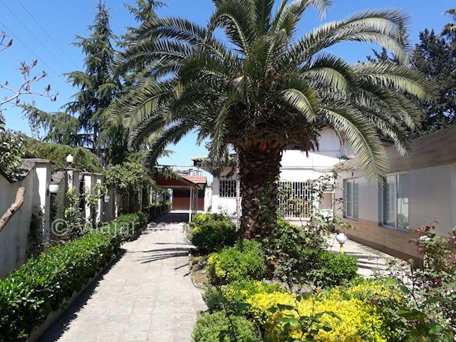 عکس شماره 337173 - اجاره ویلا استخر سرپوشیده رامسر - 