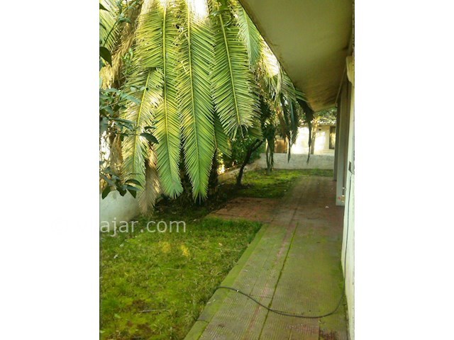 عکس شماره 33951 - اجاره ویلا شهرک دریاکنار - 