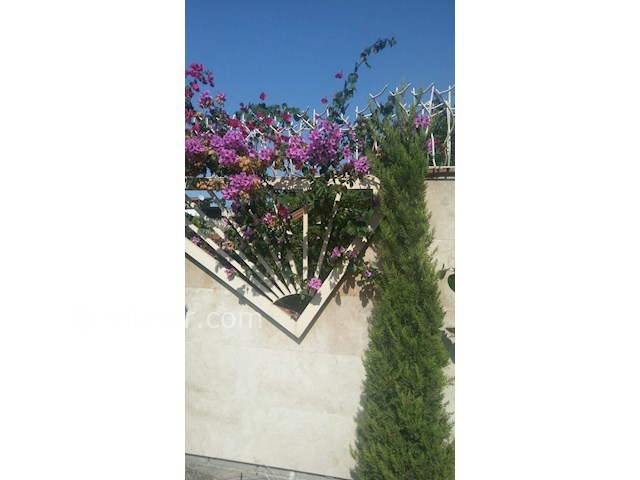 عکس شماره 339711 - ویلا استخردار در محمودآباد - 