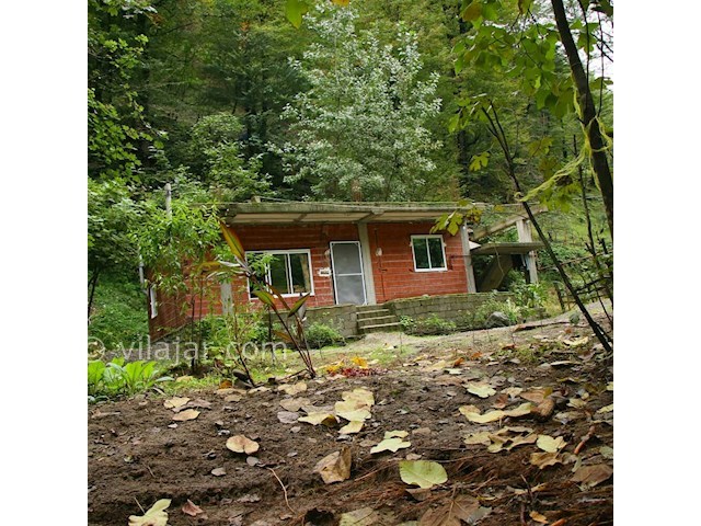 عکس شماره 340455 - اجاره ویلا اسالم بر رودخانه - 