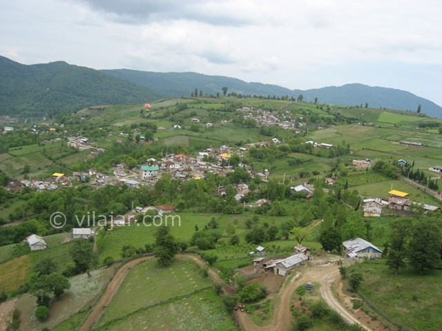 عکس شماره 3415 - اجاره ویلا جنگلی در پاشاکلاه - 