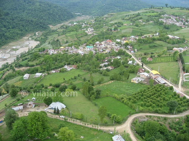 عکس شماره 3417 - اجاره ویلا جنگلی در پاشاکلاه - 