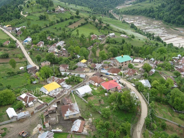 عکس شماره 3419 - اجاره ویلا جنگلی در پاشاکلاه - 